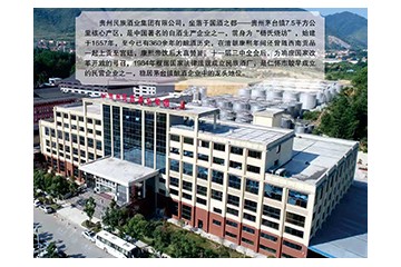 贵州汉江清酒业（集团）有限公司