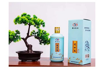贵州迎世客酒业有限公司