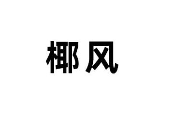 椰风（山东）食品科技有限公司
